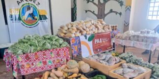 Prefeitura já entregou 76 toneladas de alimentos a indígenas e quilombolas