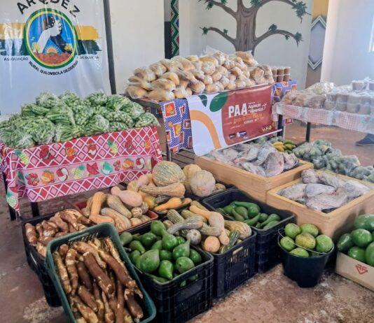 Prefeitura já entregou 76 toneladas de alimentos a indígenas e quilombolas