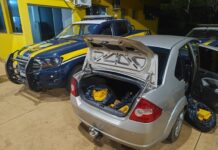 Dupla com 247 quilos de maconha em veículo é presa pela PRF