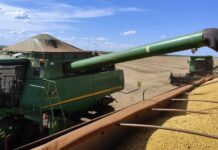 Colheita da soja é concluída em Dourados com resultado acima de safras anteriores