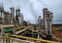 Com safra recorde, MS deve produzir 5 bilhões de litros de etanol