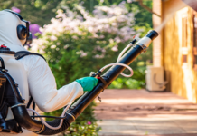 MS equipa municípios com bombas costais contra o Aedes Aegypti