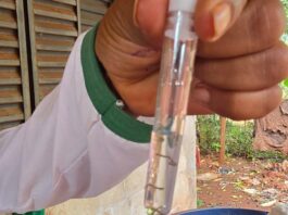 Prefeitura intensifica mobilização e bate de porta em porta na guerra contra chikungunya