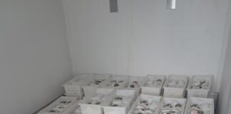 Prefeitura entrega quase 700 litros de leite por meio do PAA em Dourados