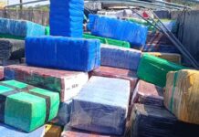 Maconha apreendida em carreta durante ação conjunta ultrapassou 11 toneladas