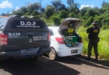 Homem de 36 anos é preso e adolescente de 17 apreendida com carga de drogas