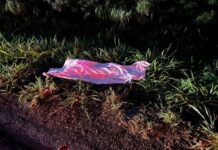 Motociclista morre após colidir contra veículo que levava grupo para velório