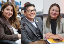 Câmara de Dourados cria Comissão dos Direitos da Mulher em meio à alta de feminicídios em MS