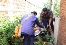 Chikungunya leva Marçal a decretar situação de calamidade em saúde pública