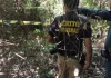 Corpo é encontrado em mata e polícia suspeita de ataque por javalis em Douradina