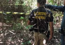 Corpo é encontrado em mata e polícia suspeita de ataque por javalis em Douradina