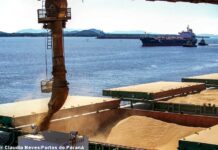 Soja retoma liderança e impulsiona superávit de US$ 1,8 bilhão em Mato Grosso do Sul