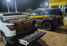 PRF prende traficante com quase 800 quilos de maconha em veículo
