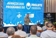 Políticas do Governo de MS para o agro alcançam êxito com avanços da cadeia do leite sul-mato-grossense