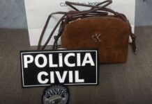 Mulher é presa após furtar bolsa em loja de shopping center