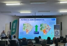 Mato Grosso do Sul se consolida como potência na piscicultura e projeta salto na industrialização da tilápia