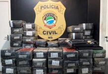 Carga de 1,6 tonelada de maconha é interceptada e veículo furtado recuperado