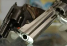 Comissão da Câmara aprova projeto que libera uso do FGTS para compra de armas de fogo