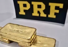 PRF apreende toneladas de drogas, ouro e dólares em operação contra facções