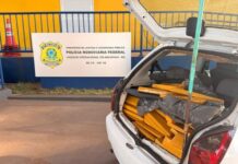 Perseguição na BR-376 termina com apreensão de 169 kg de maconha