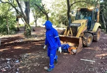 Mato Grosso do Sul confirma 17ª morte por chikungunya e iguala total de 2025