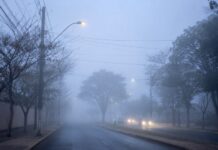 Frio segue em MS com mínima de 1,7°C, geadas e alerta para baixa umidade