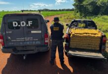 Quase R$ 2 milhões em maconha são apreendidos pelo DOF em veículo abandonado