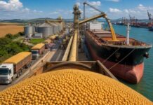 Exportações de soja de MS crescem 59% em abril e superam desempenho nacional