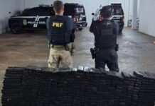 Motorista bate carro durante perseguição policial e é preso com mais de 300 kg de maconha