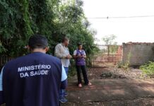 Prefeitura vistoria mais 1.428 imóveis e identifica 5 focos de Chikungunya