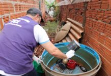 COE aponta que houve 8.655 notificações de Chikungunya com 3.948 confirmações