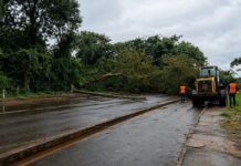 Prefeitura mantém força-tarefa após temporal e segue com atendimentos na cidade