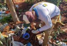 Agentes de endemias vistoriam mais 1.349 imóveis e identificam 6 focos de Chikungunya