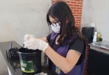 “Armadilhas” que eliminam o mosquito Aedes aegypti passam por manutenção em Dourados