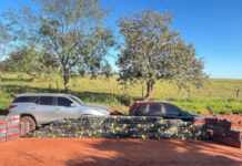 Caminhone furtada é recuperada com 2 toneladas de maconha na MS-299