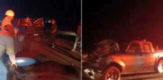 Caminhonete atinge rebanho na BR-163 e seis vacas morrem