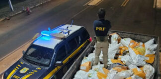 Carga milionária de maconha é descoberta sob sacas de chia