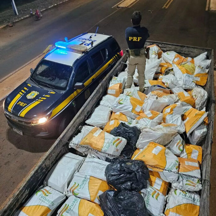 Carga milionária de maconha é descoberta sob sacas de chia_6a2a1a319631c.jpeg