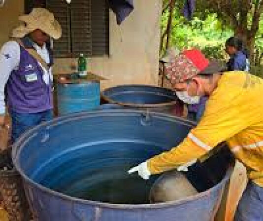 Chikungunya perde força em Dourados e casos caem 86% após pico