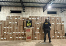DOF descobre depósito clandestino e apreende 22,5 mil pacotes de cigarros