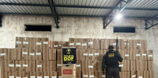 DOF descobre depósito clandestino e apreende 22,5 mil pacotes de cigarros