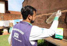 Dourados confirma 14ª morte por chikungunya e concentra quase 40% dos óbitos do país