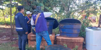 Dourados prorroga emergência por chikungunya diante da alta circulação do vírus