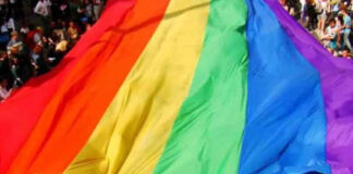 Estado publica plano com metas para ampliar direitos e combater violência contra população LGBTQIA+