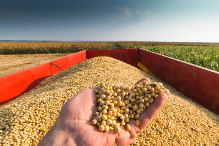 Exportações brasileiras do agronegócio representam 50,2% do total exportado pelo Brasil em maio_6a24d24010481.jpeg