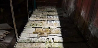 Fundo falso em carreta paraguaia escondia mais de 4 toneladas de maconha