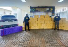 Traficante com mais de R$ 2,5 milhões em maconha é preso pelo DOF