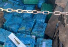 Ação conjunta apreende 1,4 tonelada de maconha entre MS e PR