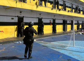 PED receberá equipamentos inéditos para reforçar inteligência penitenciária
