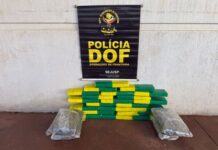 Maconha ‘verde e amarela’ é apreendida com passageiro de ônibus